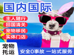 南通兴东机场托运国际宠物托运 【国